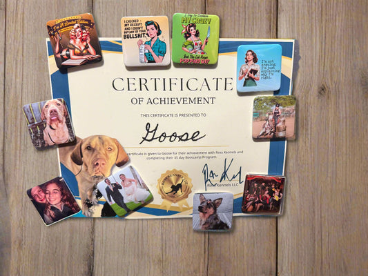 2" Square Custom Magnet/Button